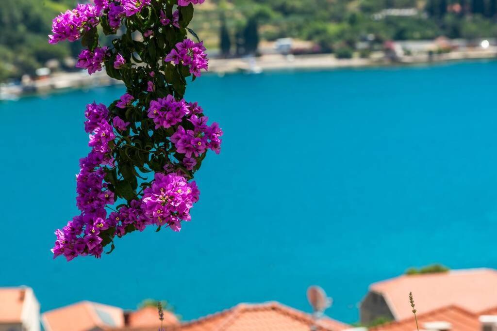 Villa Mardia- Sea View Infinity Pool Built 2023 Zaton  Eksteriør billede